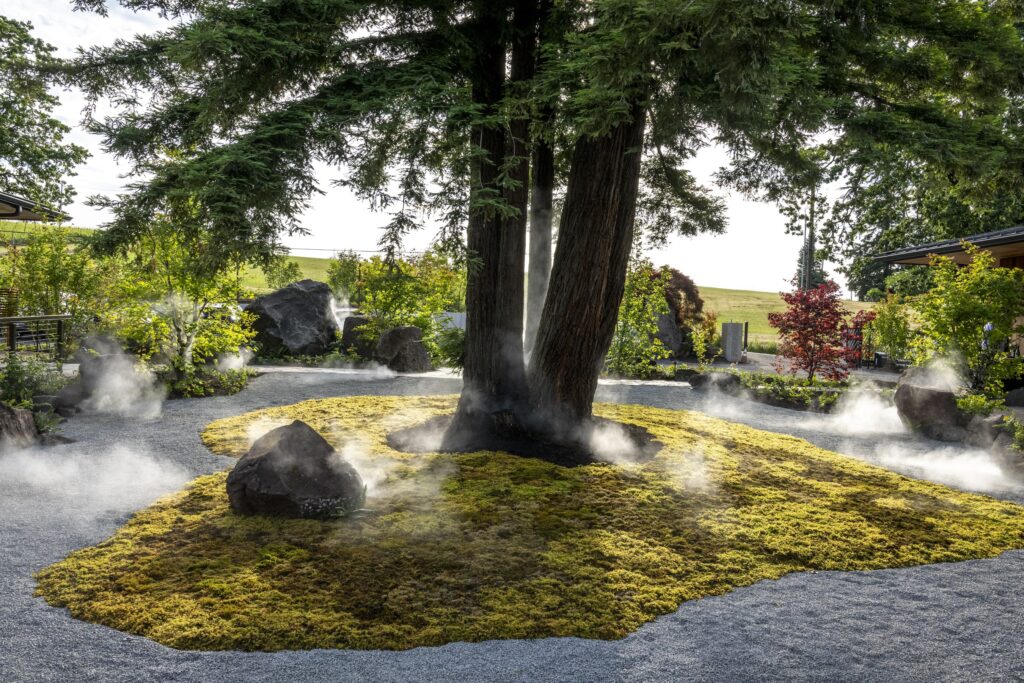 A large tree surrounded by moss-covered ground and rocks, with mist emanating from the ground in a peaceful garden setting.