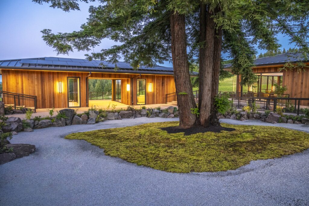 A modern wooden building with large windows, surrounded by greenery and gravel pathways, featuring a large tree in the center.