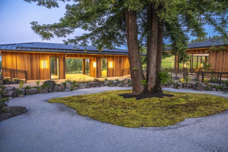 A modern wooden building with large windows, surrounded by greenery and gravel pathways, featuring a large tree in the center.