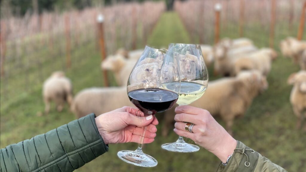 Wine glasses in two hands.