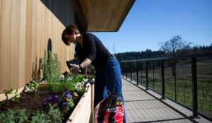 Chef Heidi planting an herb garden.
